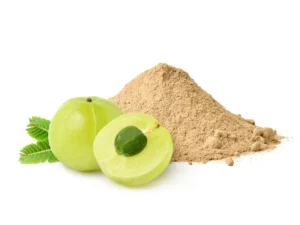 Amla Powder